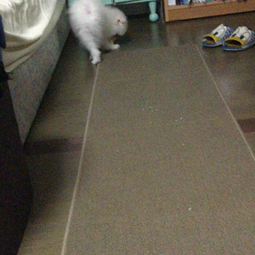 好きな遊び☆の画像