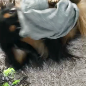 悶絶遊びの画像