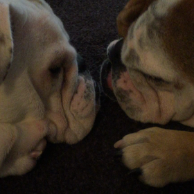 brother's loveの画像