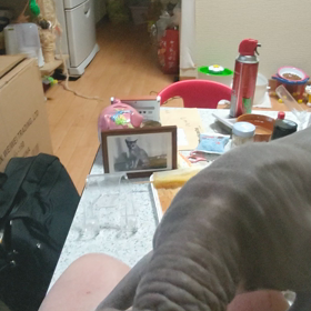 いきなりかい!の画像