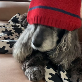 最終日にメリクリ！！！の画像