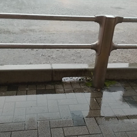 ダイエットとサプリメントのわたし的考えを語るの画像