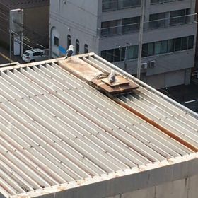 氣になるカップルに赤ちゃん誕生❣️の画像