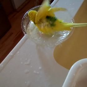 ぴーちゃん水浴び♪の画像