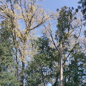 いい天気～の画像