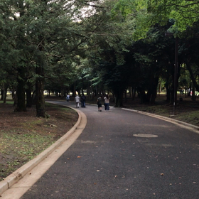 ♪お散歩動画♪代々木公園♪の画像