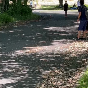 5月29日 クラブ交流リレー練習(往復バトン) 22の画像