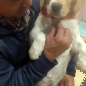 ある日のモカとオヤジの画像