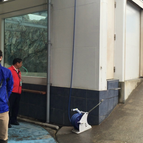 セイウチなうの画像