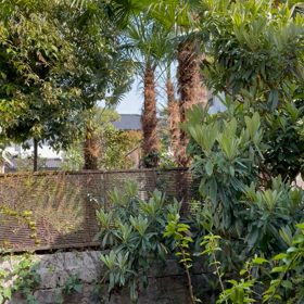 ☆イマソラ☆の画像