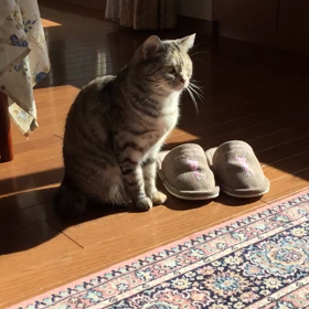 視線の先はの画像