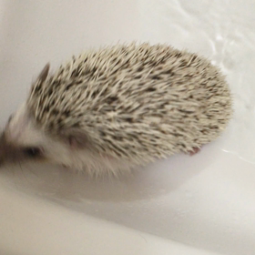 のびのび〜の画像