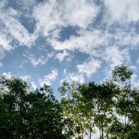 “自然と音遊び” プロジェクト vol.046！の画像