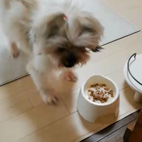 逆ダイエット中の画像