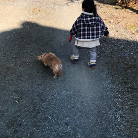 1y4m  散歩…？の画像