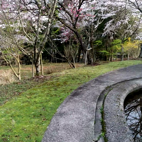 勝手に観光案内の話しvol2③ファイナルの画像