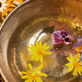 【細胞レベルで自分を整えること】の画像