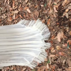 するする、するるんる。の画像