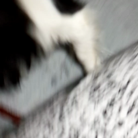 お時間のある方だけシリーズ☆の画像