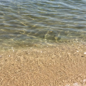 ひとあし早い海の画像