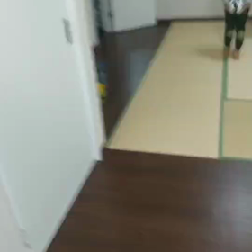 今日のひとときの画像