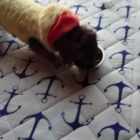 やっと、、、の画像