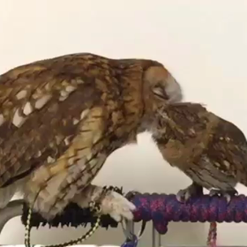 優ちゃん期待を裏切らないの画像