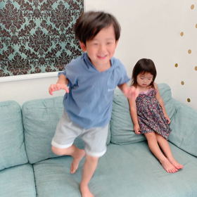 我が家のズドン先生の画像