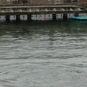 日帰り旅…三津シーパラダイスの画像