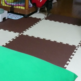 おしらせ【＋備忘録】の画像