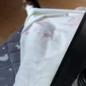 楽天市場で頼んだテレビが来ない件… デールにゃんも大変。の画像