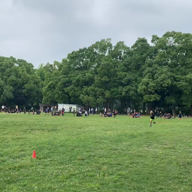 10色リレー 折り返し付近②の画像