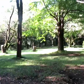 9月5日 400インターバル中間点②の画像