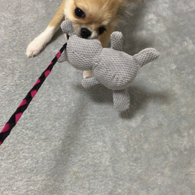 年内最後( ♥︎ᴗ♥︎ )の画像