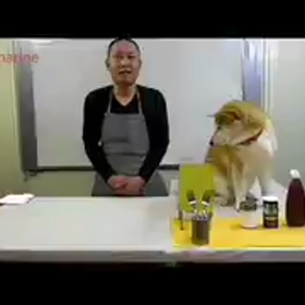 犬と一緒にクッキングの画像