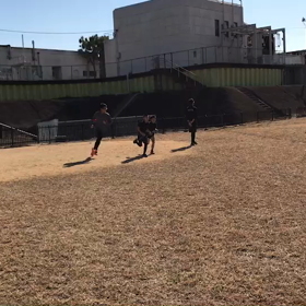 1500ｍ タイムトライアル その４の画像