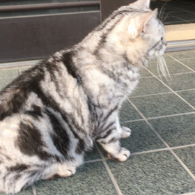 タマちゃん、ただいまの画像