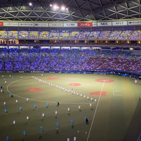 ブルーサマーシリーズ2022-②の画像