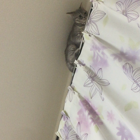 おしおきの画像