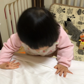 新しい技を習得したよの画像