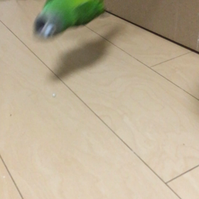 一度ウケたネタを何度もやる子の画像