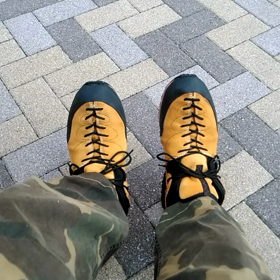 愛犬ジャズ、今日で13歳に成りました、の画像