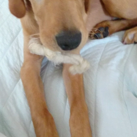 もうすぐ大台の画像