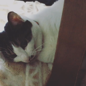 甘えモードOFF。の画像