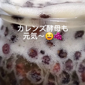 自家製酵母カレンズめちゃくちゃ元気の画像