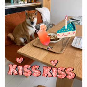 ”戦わなくてえーのに”の画像