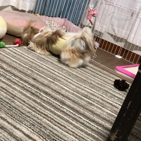 復活！！の画像