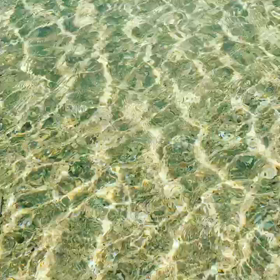 冬の海は透明度が最高☆の画像