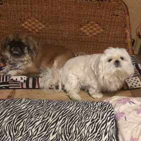 おはよーの画像