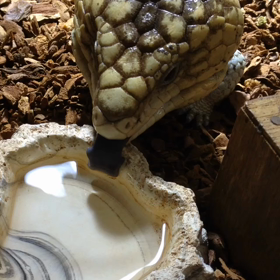 水飲み容器の画像